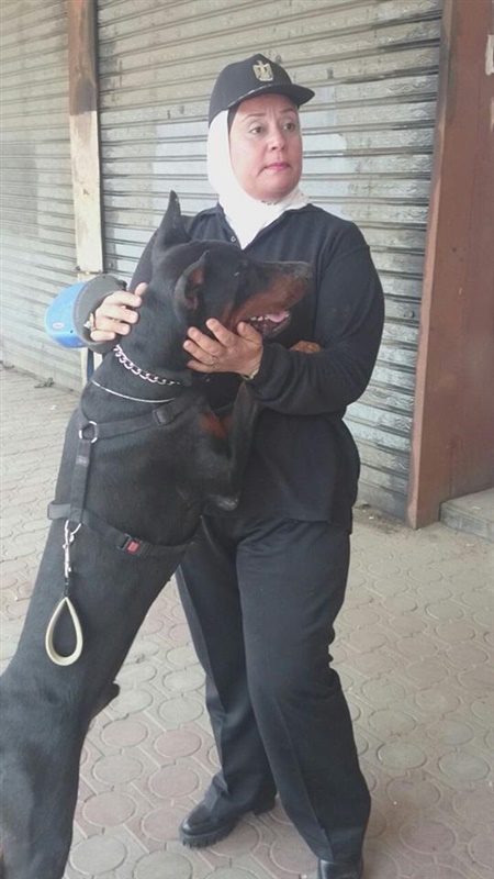 بالصور.. الداخلية تكرم العميد نشوى "قاهرة المتحرشين"      