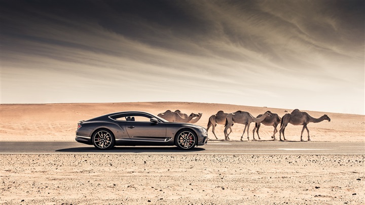 السيارة BENTLEY CONTINENTAL GT تفوز بلقب سيارة العام 2019 في منطقة الشرق الأوسط السيارة BENTLEY CONTINENTAL GT تفوز بلقب سيارة العام 2019 في منطقة الشرق الأوسط