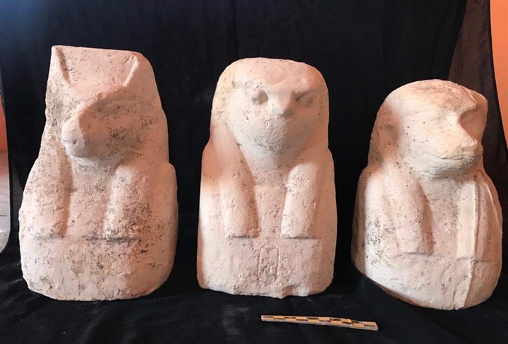 العثور على تابوت من الحجر الجيري به مومياء ورقائق ذهبيه بقويسنا العثور على تابوت من الحجر الجيري به مومياء ورقائق ذهبيه بقويسنا