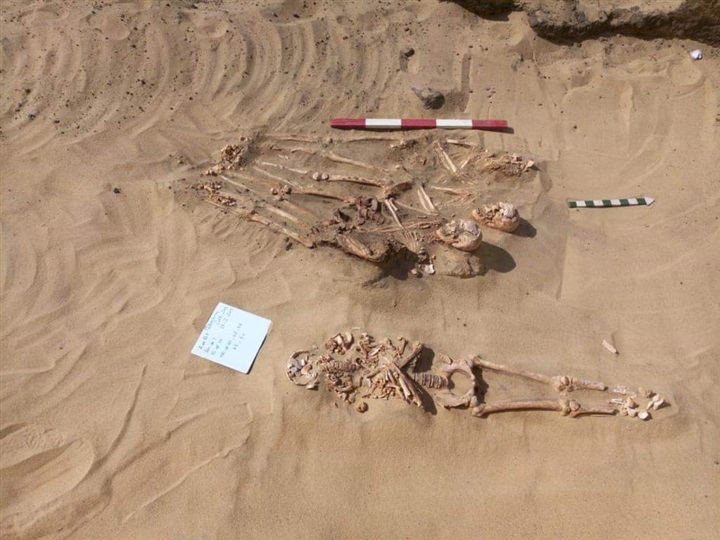 العثور على تابوت من الحجر الجيري به مومياء ورقائق ذهبيه بقويسنا العثور على تابوت من الحجر الجيري به مومياء ورقائق ذهبيه بقويسنا