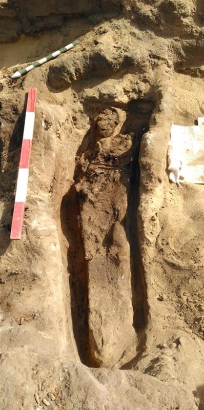 العثور على تابوت من الحجر الجيري به مومياء ورقائق ذهبيه بقويسنا العثور على تابوت من الحجر الجيري به مومياء ورقائق ذهبيه بقويسنا