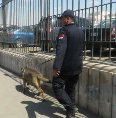 بالصور.. حملة أمنية مكبرة لضبط تجار المخدرات علي مستوى الجمهورية