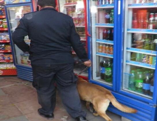 بالصور.. حملة أمنية مكبرة لضبط تجار المخدرات علي مستوى الجمهورية