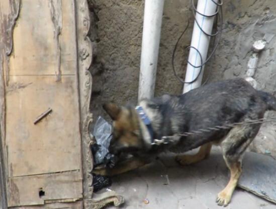 بالصور.. حملة أمنية مكبرة لضبط تجار المخدرات علي مستوى الجمهورية