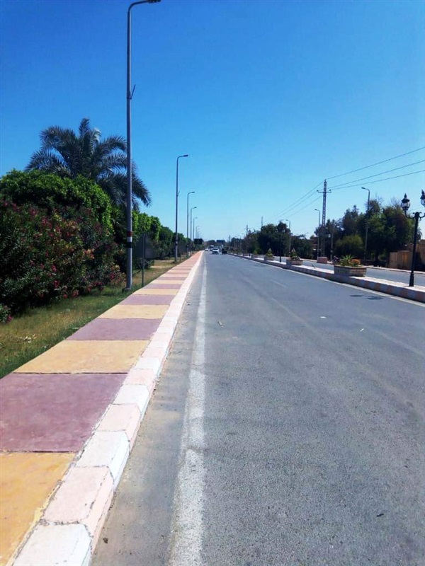 رئيس مدينة كلابشة: بدء تسليم مساكن البيت الريفى بإجمالى 300 مسكن
