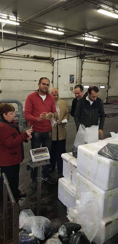 بالصور.. جمارك قرية البضائع بمطار القاهرة تضبط محاولتى تهريب مواد مخدرة 