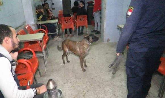 "الداخلية" تقوم بحملات أمنية مكبرة لضبط تجار المخدرات علي مستوى الجمهورية