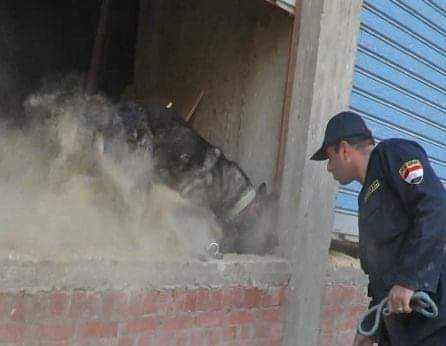 "الداخلية" تقوم بحملات أمنية مكبرة لضبط تجار المخدرات علي مستوى الجمهورية