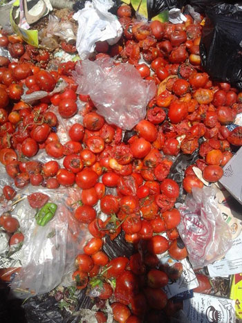 ضبط 27 طن و500 كيلو فواكة وخضروات فاسدة خلال حملة تفتيشية مفاجئة بالعاشر من رمضان