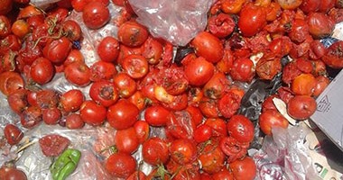 ضبط 27 طن و500 كيلو فواكة وخضروات فاسدة خلال حملة تفتيشية مفاجئة بالعاشر من رمضان