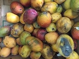 ضبط 27 طن و500 كيلو فواكة وخضروات فاسدة خلال حملة تفتيشية مفاجئة بالعاشر من رمضان