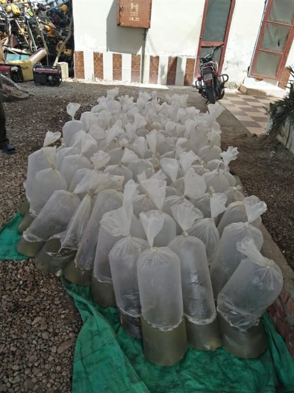 بالصور.. ضبط 30 ألف وحدة زريعة أسماك مهربة بكفر الشيخ