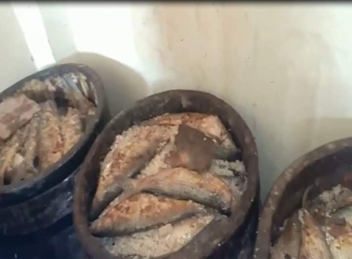 الجيزة تضبط 25 طن فسيخ ورنجة فاسدة ولحوم بمصانع غير مرخصة بأبو النمرس وأطفيح وأوسيم 