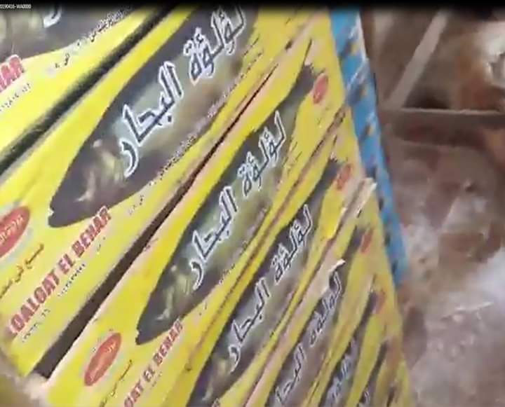 الجيزة تضبط 25 طن فسيخ ورنجة فاسدة ولحوم بمصانع غير مرخصة بأبو النمرس وأطفيح وأوسيم 