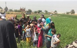 رئيس مدينة قها تشارك عمال المجلس الإحتفال بشم النسيم 