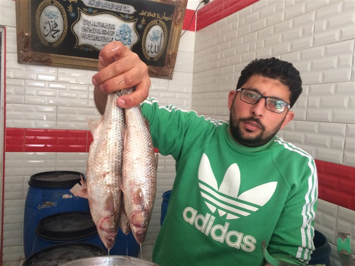 "صدي العرب" داخل محلات الفسيخ بكفر الشيخ قبل "شم النسيم".. والأسعار من 70 إلي 130 جنيه