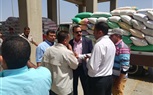 توريد 21 ألفا و635 طن قمح لصوامع وشون كفر الشيخ