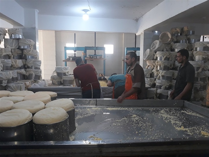 بالصور.. ضبط 2853 كيلو جبنة رومى "فاسدة" بكفر الشيخ