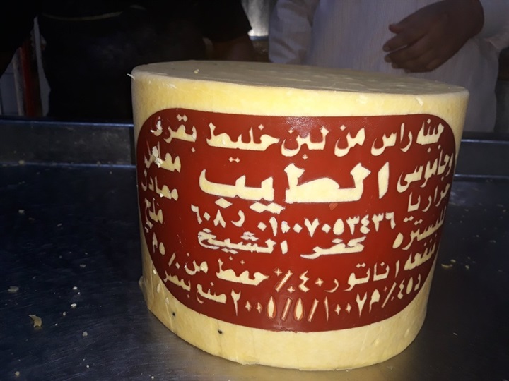 بالصور.. ضبط 2853 كيلو جبنة رومى "فاسدة" بكفر الشيخ