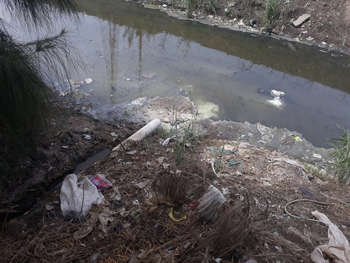 بالصور.. ضبط 2853 كيلو جبنة رومى "فاسدة" بكفر الشيخ