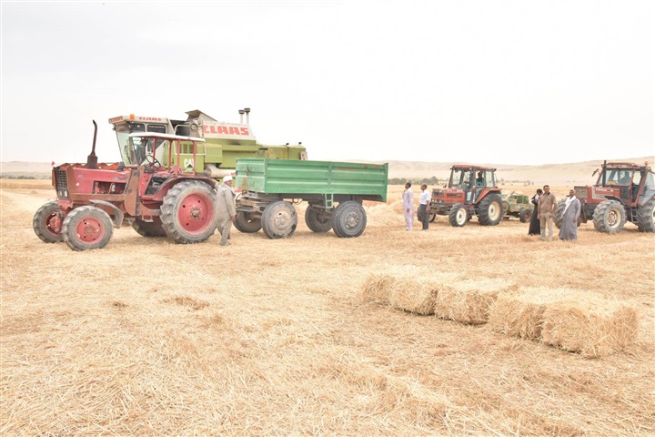 محافظ أسيوط يتفقد 1100 فدان أراضي استصلاح زراعي بالقوصية ويؤكد أهمية الاستفادة من التجارب الناجحة