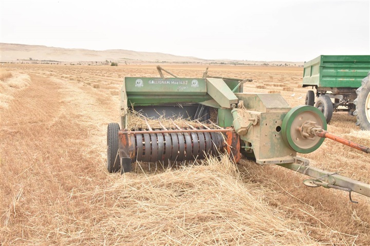 محافظ أسيوط يتفقد 1100 فدان أراضي استصلاح زراعي بالقوصية ويؤكد أهمية الاستفادة من التجارب الناجحة