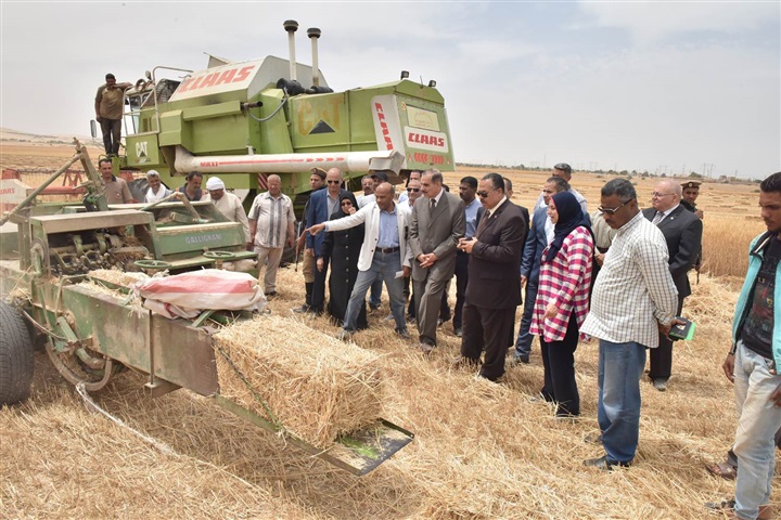 محافظ أسيوط يتفقد 1100 فدان أراضي استصلاح زراعي بالقوصية ويؤكد أهمية الاستفادة من التجارب الناجحة