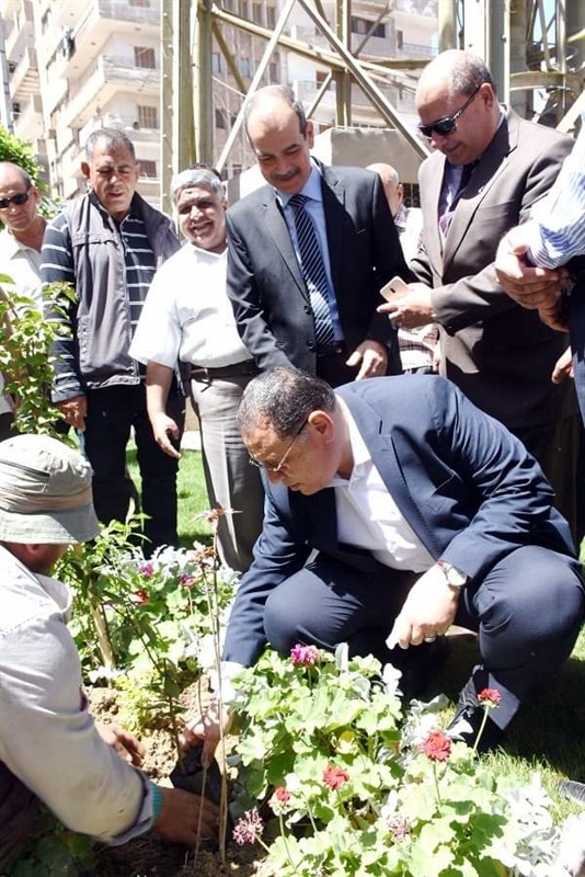 "محافظ الشرقية" يغرس أشجاراً بمدارس وميادين مدينة الزقازيق تنفيذاً لمبارة رئيس الجمهورية بزراعة الأشجار المثمرة