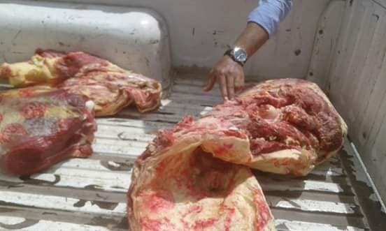 ضبط 28 طن جبن و341 كيلو لحوم ودجاج غير صالحة للإستهلاك الآدمي بسوهاج