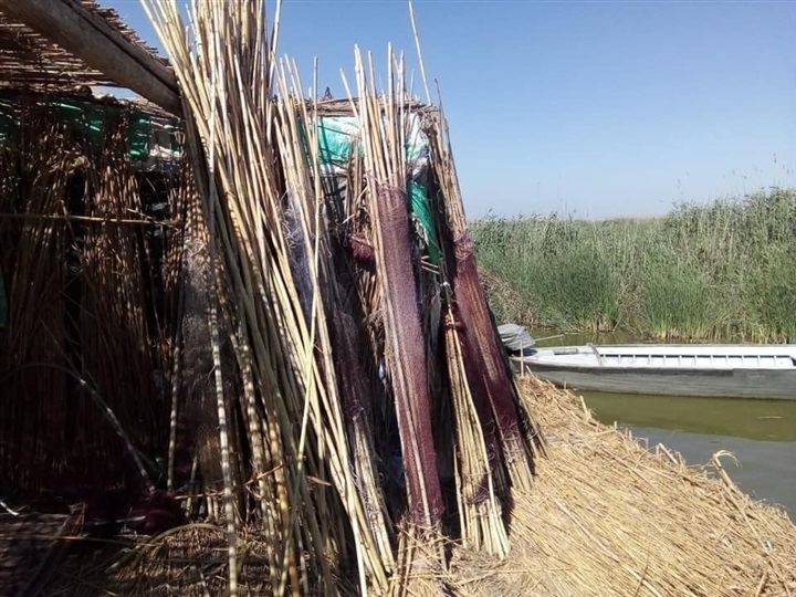 بالصور.. حملة لإزالة التعديات ومواجهة الصيد الجائر ببحيرة البرلس