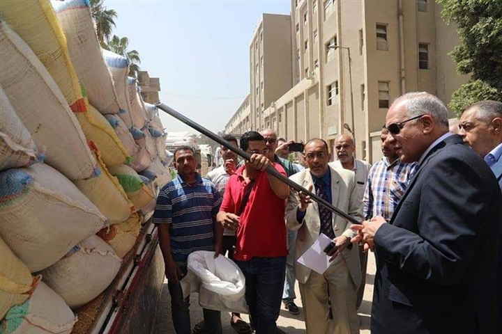 محافظ الجيزة: توريد 106 ألف طن أقماح حتى الآن ومتابعة يومية لأعمال التوريد 