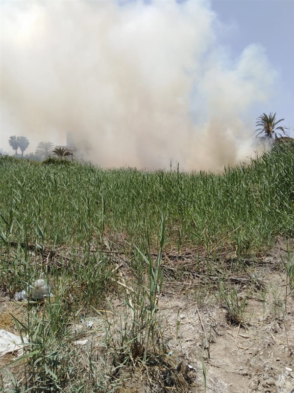 الحماية المدنية: السيطرة على حريق بشركة مصر للغزل والنسيج بالبحيرة الحماية المدنية: السيطرة على حريق بشركة مصر للغزل والنسيج بالبحيرة