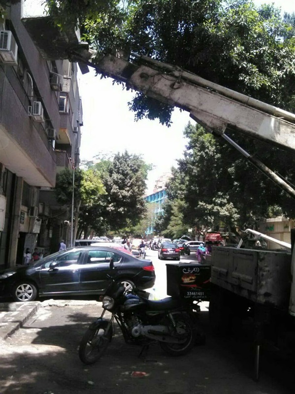 صيانة الأعمدة الكهربائية لرفع كفاءة الإنارة بحي العجوزة
