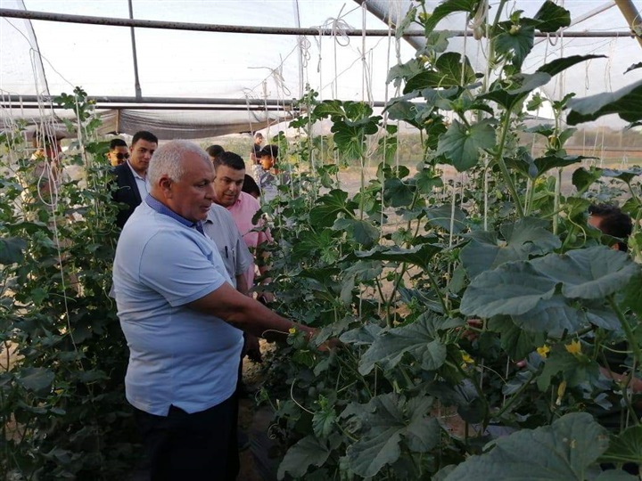 "الزملوط" يطالب خلال تفقده لأحد مشروعات الصوب الزراعية بالداخلة بالتوسع فيها لتحقيق الاكتفاء الذاتي من الخضروات والفاكهة