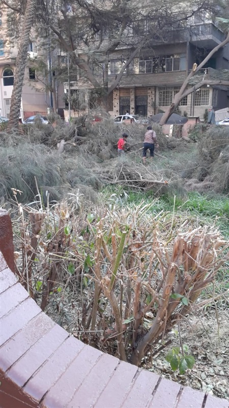بالصور.. تكثيف حملات النظافة لتجميل حي العجوزة