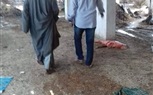 نفوق ٣٠٠ كتكوت فى حريق مزرعة دواجن بطوخ