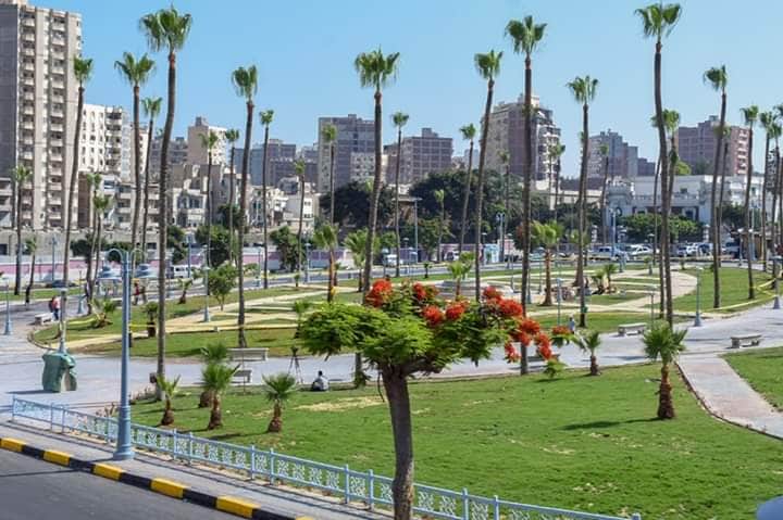 الإسكندرية تتزين لاستقبال بطولة كأس الأمم الإفريقية الإسكندرية تتزين لاستقبال بطولة كأس الأمم الإفريقية