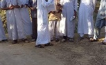   إطلاق طفيل مكافحة آفات ثمرة النخيل بسيوة