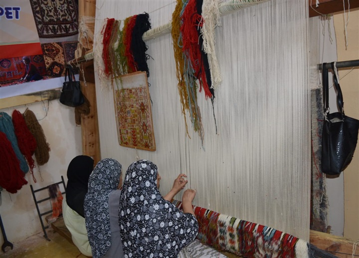 محافظ البحيرة فى جولة ميدانية اليوم بمركز ومدينة رشيد 