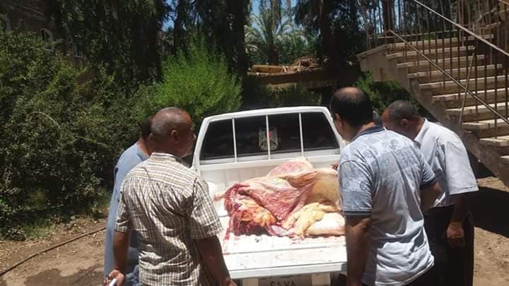 محافظ أسيوط: ضبط 139 كجم لحوم مذبوحة خارج السلخانة وغير صالحة للاستهلاك الآدمي بمركز البداري