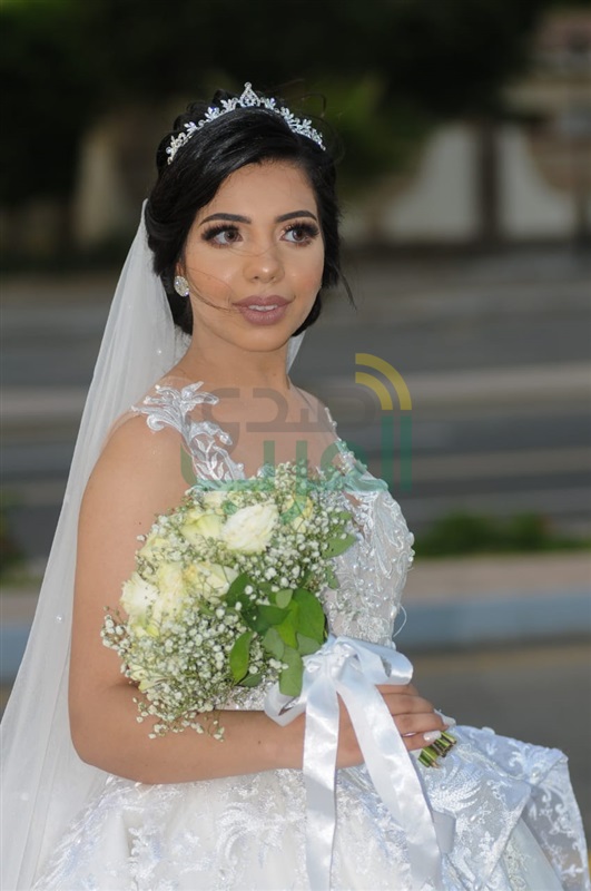 بالصور.. سعد الصغير يشعل حفل زفاف ابنة نائب رئيس تحرير جريده الجمهوريه بالصور.. سعد الصغير يشعل حفل زفاف ابنة نائب رئيس تحرير جريده الجمهوريه