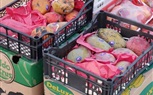 ضبط ٢٧ طن فواكه وخضروات فاسدة داخل ثلاجة لحفظ المواد الغذائية بالعاشر من رمضان 