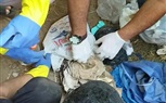 بالصور.. حملة تكشف أعمال سحر وشعوذة مدفونة في مقابر بيلا بكفر الشيخ