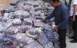 ضبط ١٥.٥ طن من المكرونة والسمن والزيت منتهية الصلاحية بمصنعين بالإسكندرية