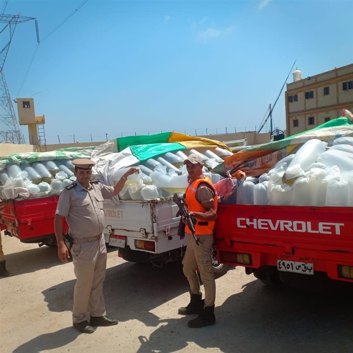 بالصور.. ضبط 3 سيارات محملة بـ 276 ألف وحدة زريعة أسماك بكفر الشيخ