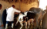 محافظ الشرقية يشيد بمجهودات مديرية الطب البيطري للحفاظ على الثروة الحيوانية والداجنة وزيادة انتاجيتها 