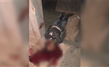 الداخلية: مقتل مجموعة من العناصر الإرهابية في مداهمة بؤرة إجرامية بمنطقة جلبانة بشمال سيناء 