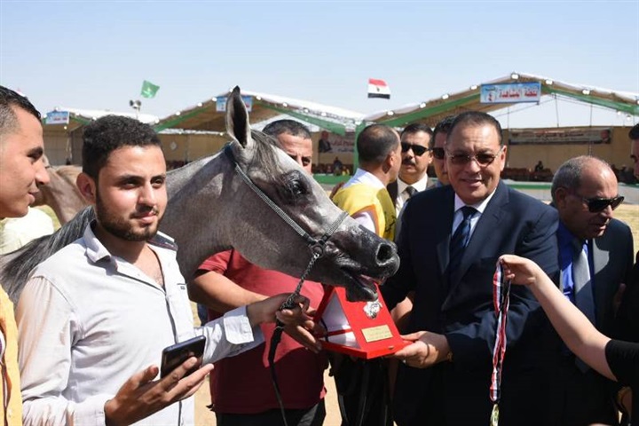 محافظ الشرقية يسلم دروع التميز للفائزين في مسابقة جمال الخيول العربية المسجلة 