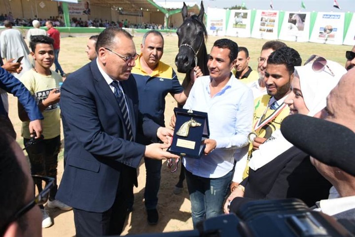 محافظ الشرقية يسلم دروع التميز للفائزين في مسابقة جمال الخيول العربية المسجلة 