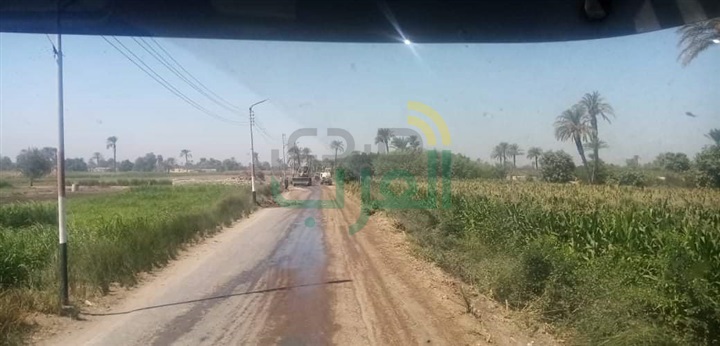 تعرف على جهود الوحدة المحلية لمركز ومدينة بني سويف في ملفات النظافة ورفع المخلفات والتجميل